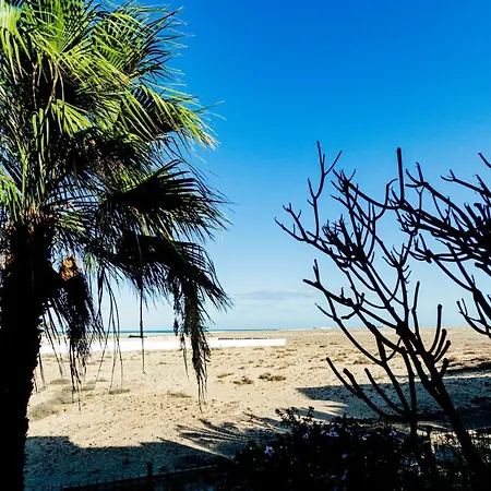 La Vista Bonita * 코라레호