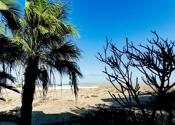 La Vista Bonita * 코라레호